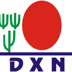 dxn