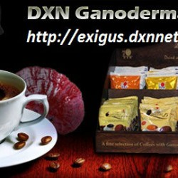 dxn-ganoderma-kave_slide3_1 másolata másolata