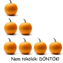 fehér tök (940 x 565)