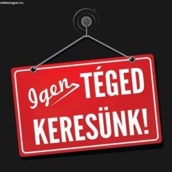 vezeto-munkatarsat-keresek_11509724373